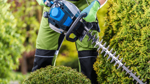 Landscapers contractor at work